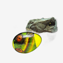 Креативное творчество 