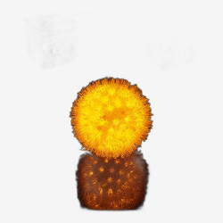 Гирлянда электрическая 