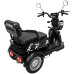 Электроскутер трёхколёсный, 600W, колёса 10