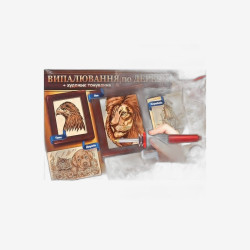 Набор для выжигания по дереву WD-01-01